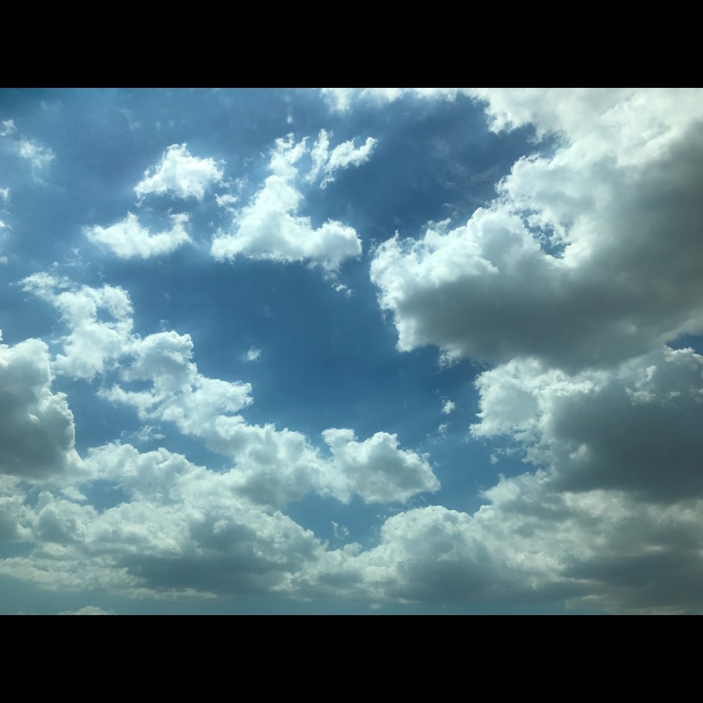 Meet your Posher, Sam